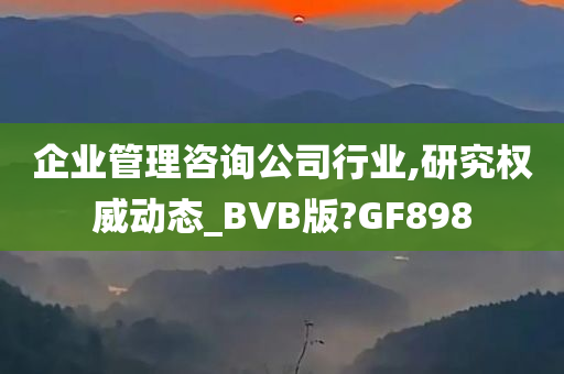 企业管理咨询公司行业,研究权威动态_BVB版?GF898