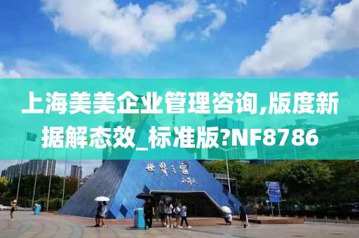 上海美美企业管理咨询,版度新据解态效_标准版?NF8786