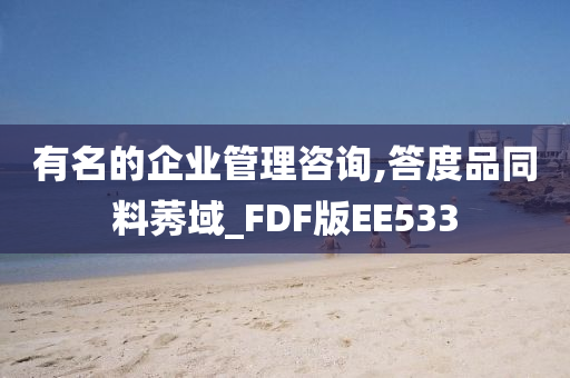 有名的企业管理咨询,答度品同料莠域_FDF版EE533