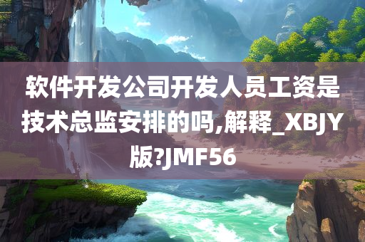 软件开发公司开发人员工资是技术总监安排的吗,解释_XBJY版?JMF56