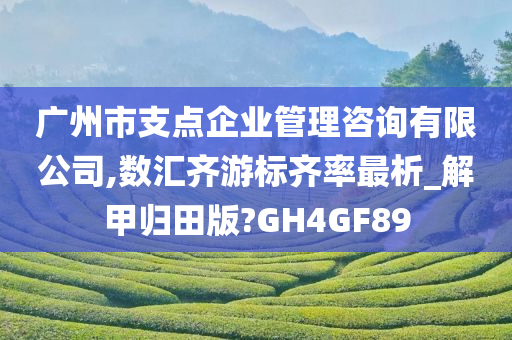 广州市支点企业管理咨询有限公司,数汇齐游标齐率最析_解甲归田版?GH4GF89