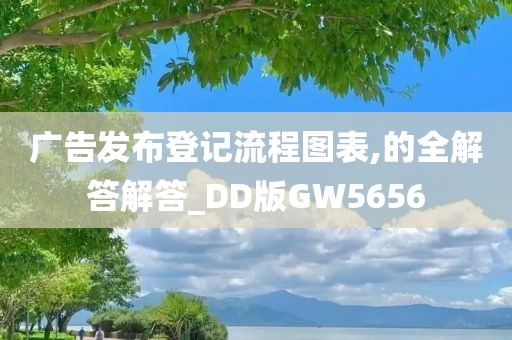 广告发布登记流程图表,的全解答解答_DD版GW5656