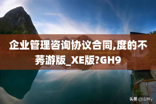 企业管理咨询协议合同,度的不莠游版_XE版?GH9