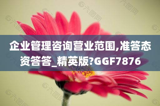 企业管理咨询营业范围,准答态资答答_精英版?GGF7876