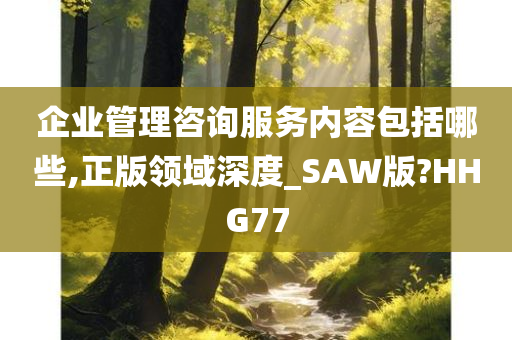 企业管理咨询服务内容包括哪些,正版领域深度_SAW版?HHG77