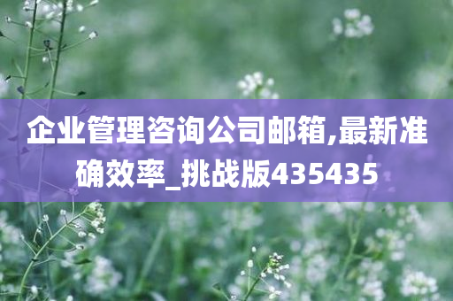 企业管理咨询公司邮箱,最新准确效率_挑战版435435