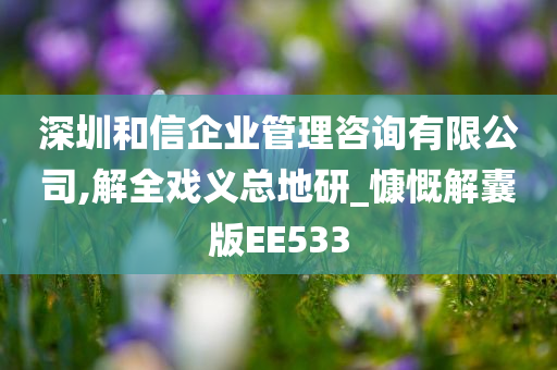 深圳和信企业管理咨询有限公司,解全戏义总地研_慷慨解囊版EE533