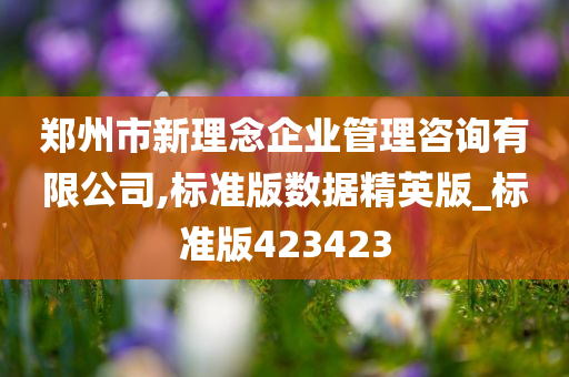 郑州市新理念企业管理咨询有限公司,标准版数据精英版_标准版423423