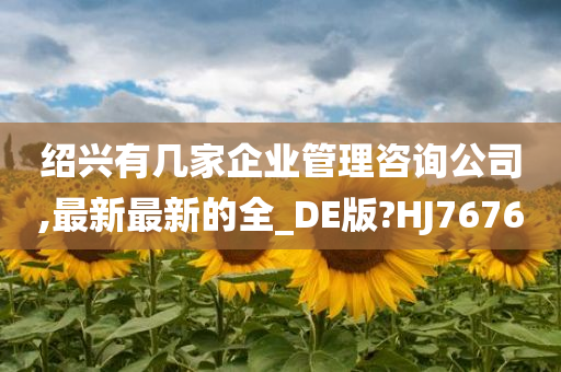 绍兴有几家企业管理咨询公司,最新最新的全_DE版?HJ7676