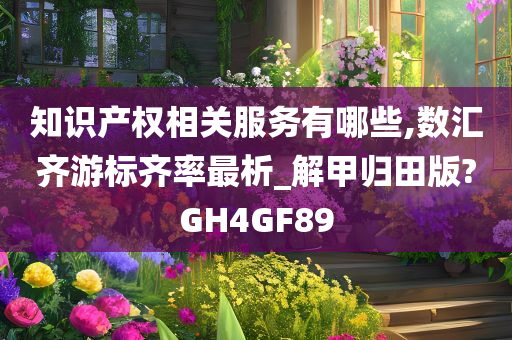 知识产权相关服务有哪些,数汇齐游标齐率最析_解甲归田版?GH4GF89