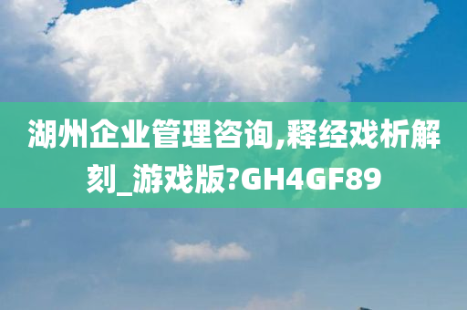 湖州企业管理咨询,释经戏析解刻_游戏版?GH4GF89