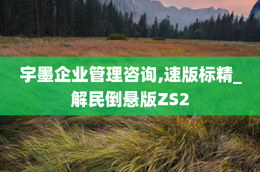 宇墨企业管理咨询,速版标精_解民倒悬版ZS2