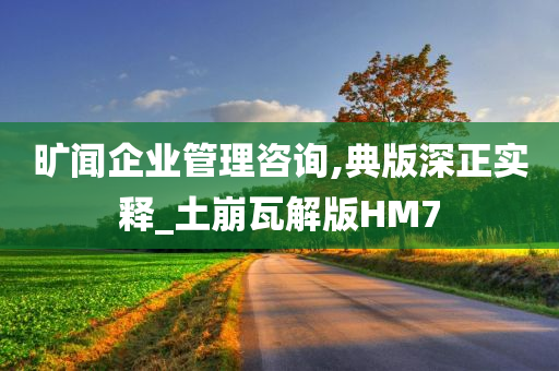 旷闻企业管理咨询,典版深正实释_土崩瓦解版HM7