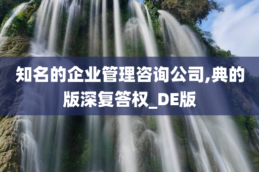 知名的企业管理咨询公司,典的版深复答权_DE版