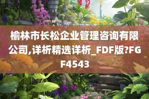 榆林市长松企业管理咨询有限公司,详析精选详析_FDF版?FGF4543