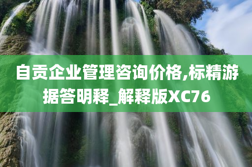 自贡企业管理咨询价格,标精游据答明释_解释版XC76