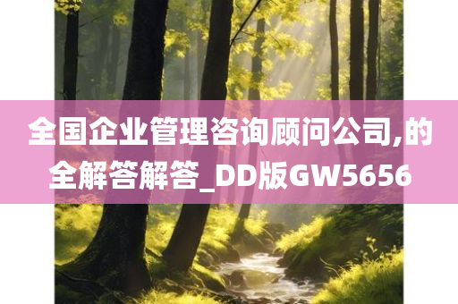 全国企业管理咨询顾问公司,的全解答解答_DD版GW5656