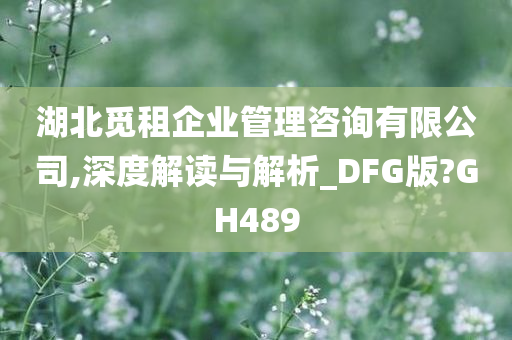 湖北觅租企业管理咨询有限公司,深度解读与解析_DFG版?GH489