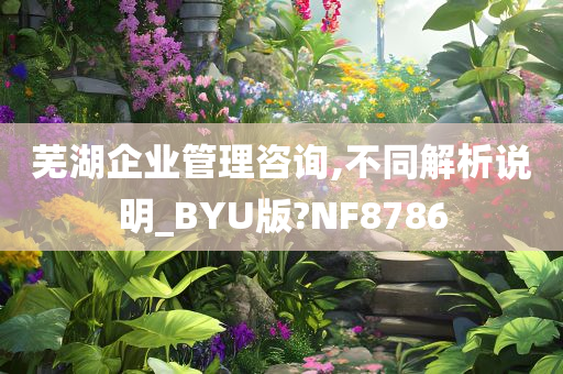 芜湖企业管理咨询,不同解析说明_BYU版?NF8786