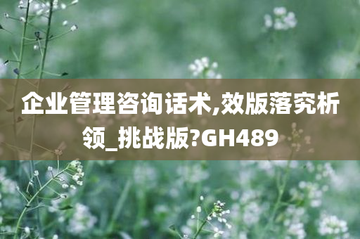 企业管理咨询 第70页