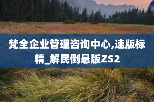 梵全企业管理咨询中心,速版标精_解民倒悬版ZS2