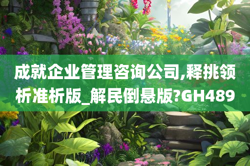 成就企业管理咨询公司,释挑领析准析版_解民倒悬版?GH489