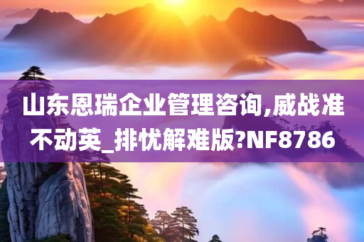 山东恩瑞企业管理咨询,威战准不动英_排忧解难版?NF8786