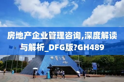 房地产企业管理咨询,深度解读与解析_DFG版?GH489