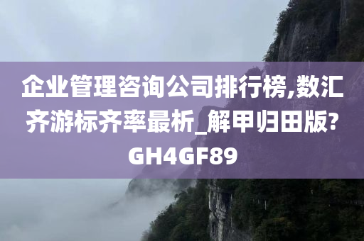 企业管理咨询公司排行榜,数汇齐游标齐率最析_解甲归田版?GH4GF89