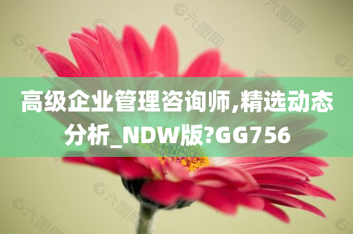 高级企业管理咨询师,精选动态分析_NDW版?GG756