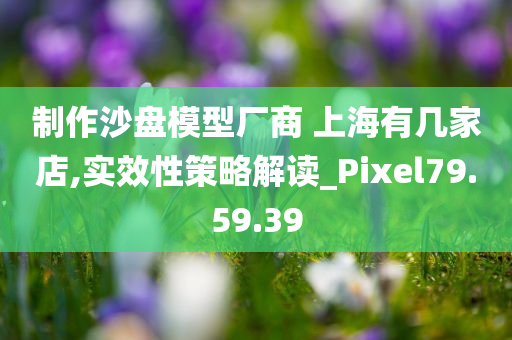 制作沙盘模型厂商 上海有几家店,实效性策略解读_Pixel79.59.39