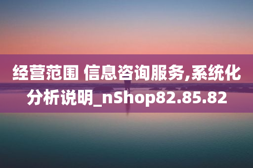 经营范围 信息咨询服务,系统化分析说明_nShop82.85.82