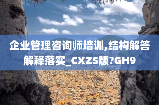 企业管理咨询师培训,结构解答解释落实_CXZS版?GH9