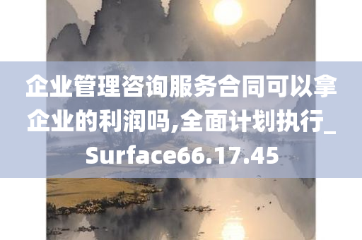 企业管理咨询服务合同可以拿企业的利润吗,全面计划执行_Surface66.17.45