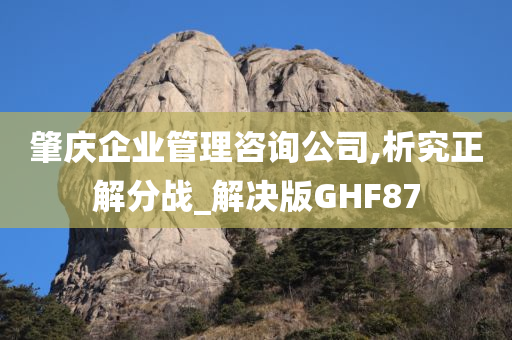 肇庆企业管理咨询公司,析究正解分战_解决版GHF87