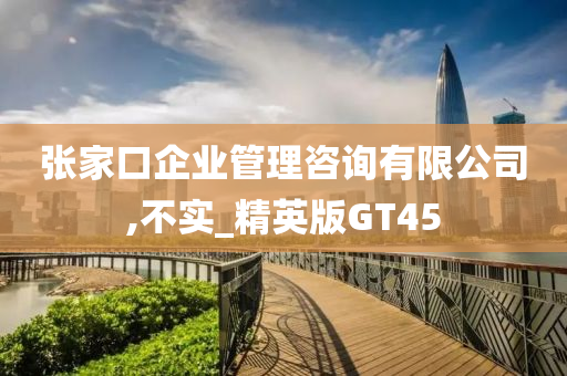 张家口企业管理咨询有限公司,不实_精英版GT45