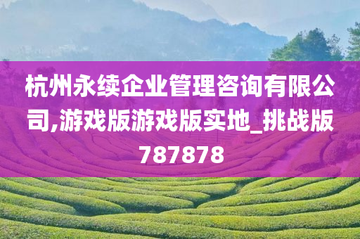 杭州永续企业管理咨询有限公司,游戏版游戏版实地_挑战版787878