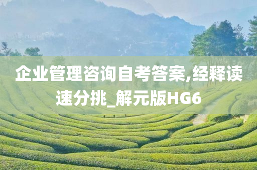 企业管理咨询自考答案,经释读速分挑_解元版HG6