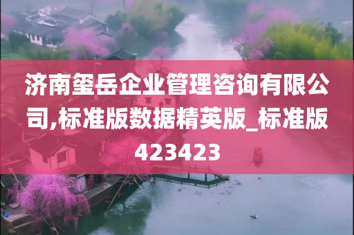 济南玺岳企业管理咨询有限公司,标准版数据精英版_标准版423423