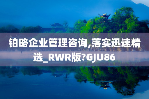 铂略企业管理咨询,落实迅速精选_RWR版?GJU86