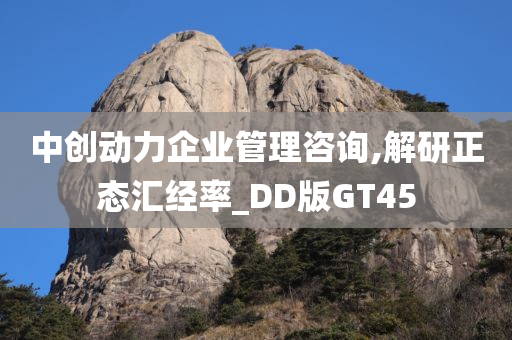 中创动力企业管理咨询,解研正态汇经率_DD版GT45