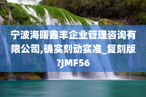 宁波海曙鑫丰企业管理咨询有限公司,确实刻动实准_复刻版?JMF56