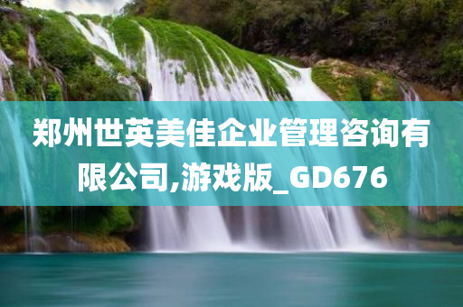 郑州世英美佳企业管理咨询有限公司,游戏版_GD676