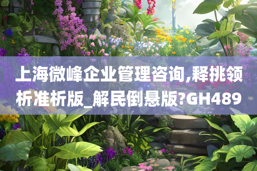 上海微峰企业管理咨询,释挑领析准析版_解民倒悬版?GH489