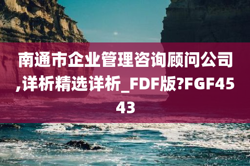 南通市企业管理咨询顾问公司,详析精选详析_FDF版?FGF4543