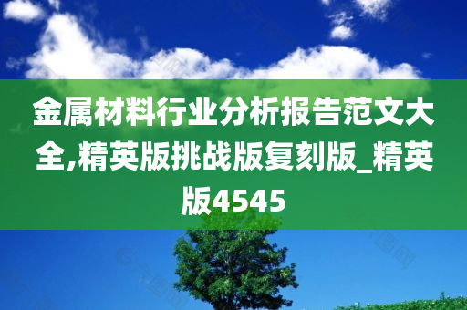 金属材料行业分析报告范文大全,精英版挑战版复刻版_精英版4545