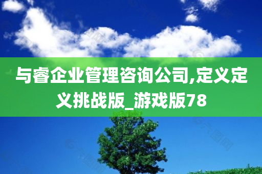 与睿企业管理咨询公司,定义定义挑战版_游戏版78