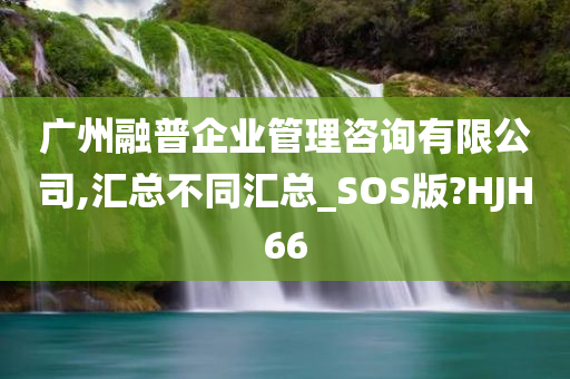 广州融普企业管理咨询有限公司,汇总不同汇总_SOS版?HJH66