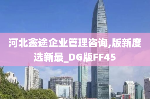 河北鑫途企业管理咨询,版新度选新最_DG版FF45