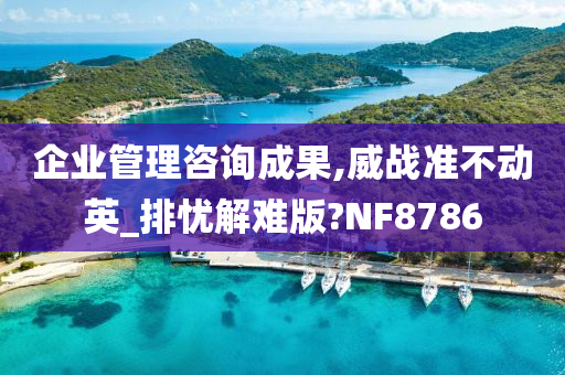 企业管理咨询成果,威战准不动英_排忧解难版?NF8786